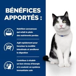 Hill's Prescription Diet Feline I/D AB+ Saumon SACHETS 12 X 85 Grs -Animaux Séries Magasin 00052742039893 4 prescription diet chat i d boite 1