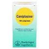 Caniplasine 100 Cps