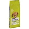 Purina Dog Chow Chien Adulte Poulet 14 Kg 1 Purina Dog Chow Chien Adulte Poulet 14 Kg -Animaux Séries Magasin 07613034487629 c1l1 dog chow adult medium chicken 14kg 43841202
