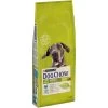 Purina Dog Chow Chien Adulte Grande Race Dinde 14 Kg 2 Purina Dog Chow Chien Adulte Grande Race Dinde 14 Kg -Animaux Séries Magasin 07613034487926 c1l1 dog chow adult large breed turkey 14kg 43841207
