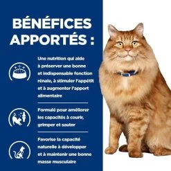Hill's Prescription Diet Feline K/D + Mobility 1.5 Kg -Animaux Séries Magasin 52742044767 4 prescription diet chat k d mobility croquettes poulet 2 1