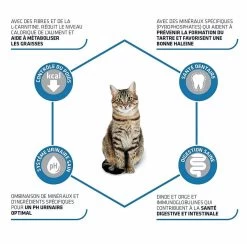 Advance Sterilized Chat à La Dinde 3 Kg -Animaux Séries Magasin advance sterilized chat la dinde 3 kg 3 1