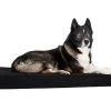 Back On Track Matelas Pour Chien 50 × 60 Cm -Animaux Séries Magasin back on track matelas pour chien