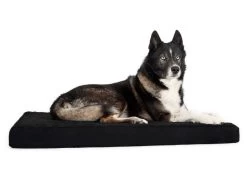 Back On Track Matelas Pour Chien 50 × 60 Cm