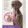 Beaphar CaniComfort Spray Calmant Pour Chien 60 Ml -Animaux Séries Magasin beaphar canicomfort spray calmant pour chien 60 ml