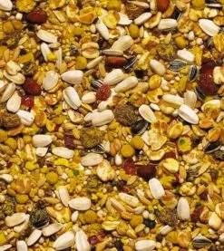 Beaphar XtraVital Perroquets 1 Kg -Animaux Séries Magasin beaphar xtravital perroquets 1 kg2