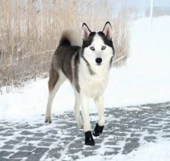 Trixie Bottes Protection Walker Active L - XL X 2 -Animaux Séries Magasin bottes 1