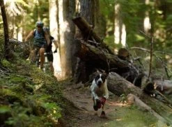 Bottines Ruffwear Grip Trex Rouge M 70 Mm Destockage -Animaux Séries Magasin bottines ruffwear grip trex rouge 4 1 2 1