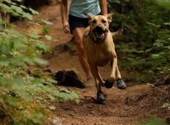 Bottines Ruffwear Grip Trex Rouge M 70 Mm Destockage -Animaux Séries Magasin bottines ruffwear grip trex rouge 6 1 2 1