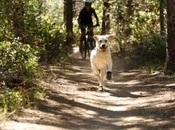 Bottines Ruffwear Grip Trex Rouge M 70 Mm Destockage -Animaux Séries Magasin bottines ruffwear grip trex rouge 7 1 2 1