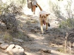 Bottines Ruffwear Grip Trex Rouge M 70 Mm Destockage -Animaux Séries Magasin bottines ruffwear grip trex rouge 8 1 2 1