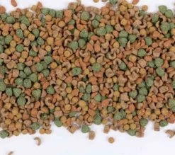 Care+ Cochon D'Inde 5 Kg -Animaux Séries Magasin care cochon d inde 5 kg3