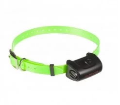 Collier Seul Canicom 5 Avec Sangle Vert Fluo