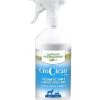 CroClean Concentré 250 Ml