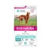 Eukanuba Chien Daily Care Sensitive Digestion 2.3 Kg -Animaux Séries Magasin eukanuba chien daily care sensitive digestion 2.3 kg