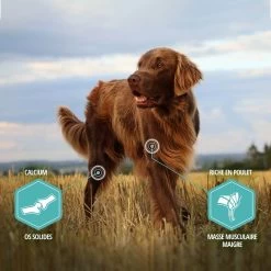 Eukanuba Chien Daily Care Sensitive Digestion 2.3 Kg -Animaux Séries Magasin eukanuba chien daily care sensitive digestion 4 1