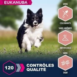 Eukanuba Mature & Senior à L'agneau 2.5 Kg - Destockage -Animaux Séries Magasin eukanuba chien senior grande race agneau riz 4
