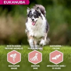 Eukanuba Mature & Senior à L'agneau 2.5 Kg - Destockage -Animaux Séries Magasin eukanuba chien senior grande race agneau riz 5