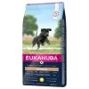 Eukanuba Developing Junior Grande Race Poulet 12 Kg