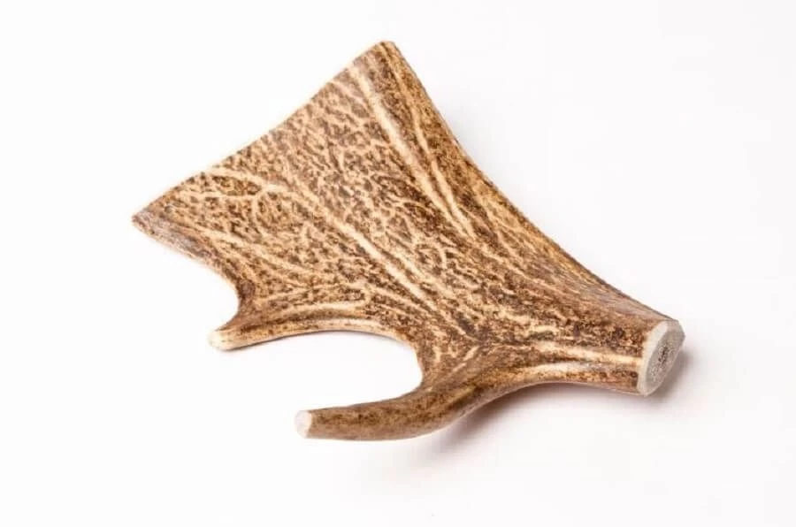 Evident Bois De Daim M 3 Evident Bois De Daim M