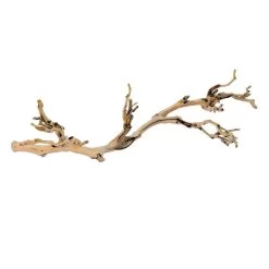 Exo Terra Branche De Vigne Sablée Reptile L