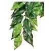 Exo Terra Plante Artificielle Ficus S