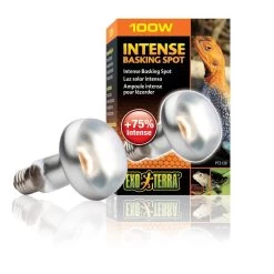 Exo Terra Lampe Intense à Vis Pour Terrarium 100 W 7 Exo Terra Lampe Intense à Vis Pour Terrarium 100 W -Animaux Séries Magasin exo terra lampe intense vis pour terrarium 100 w 2