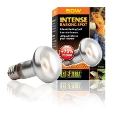 Exo Terra Lampe Intense à Vis Pour Terrarium 50 W -Animaux Séries Magasin exo terra lampe intense vis pour terrarium 50 w