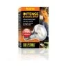 Exo Terra Lampe Intense à Vis Pour Terrarium 50 W -Animaux Séries Magasin exo terra lampe intense vis pour terrarium 50 w 1