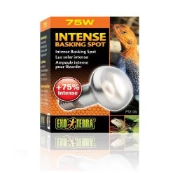 Exo Terra Lampe Intense à Vis Pour Terrarium 75 W