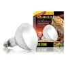 Exo Terra Lampe Solar Glo à Vis Pour Terrarium 125 W -Animaux Séries Magasin exo terra lampe solar glo vis pour terrarium 125 watts