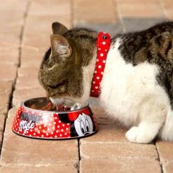 For Fan Pets Gamelle Minnie M -Animaux Séries Magasin for fan pets gamelle minnie m 3