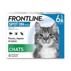 Frontline Chat Spot On 6 Pipettes
