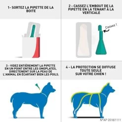 Frontline Spot On Chien De 10-20 Kg 6 Pipettes -Animaux Séries Magasin frontline spot on chien de 10 20 kg 6 pipettes3