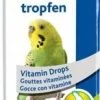 Trixie Gouttes Vitaminées Pour Oiseaux 15 Ml