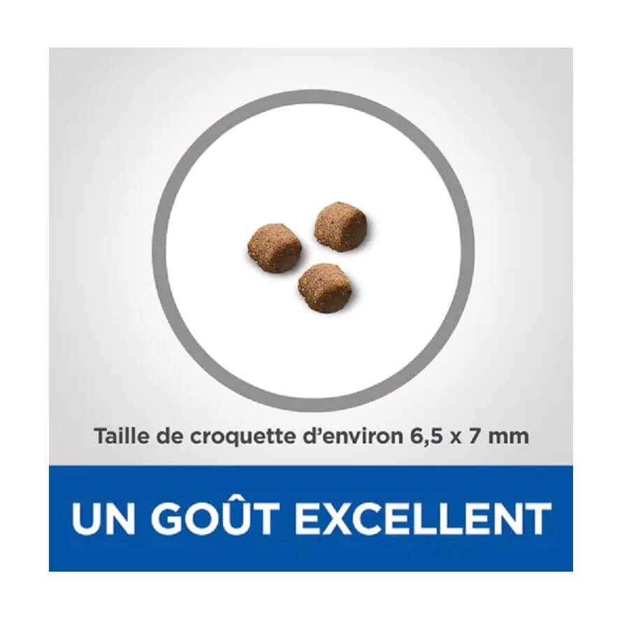 Hill's Science Plan VetEssentials Feline Kitten Growth AB+ Poulet 3 Kg 7 Hill's Science Plan VetEssentials Feline Kitten Growth AB+ Poulet 3 Kg – Image 5