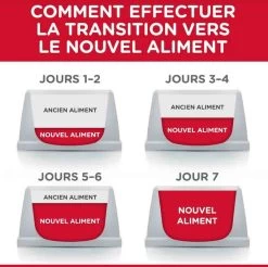Hill's Science Plan Hill's Science Plan Feline Adult Light Poulet 10 Kg 9 Hill's Science Plan Hill's Science Plan Feline Adult Light Poulet 10 Kg -Animaux Séries Magasin hill s science plan feline adult light poulet 10 kg4