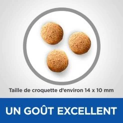 Hill's Science Plan VetEssentials Canine Adult Mini Dental Health 2 Kg 10 Hill's Science Plan VetEssentials Canine Adult Mini Dental Health 2 Kg -Animaux Séries Magasin hill s vetessentials canine adult mini2