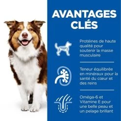 Hill's Science Plan Hill's Science Plan Canine Mature Adult 7+ Medium Poulet 18 Kg -Animaux Séries Magasin hill s science plan canine mature adult 7 medium poulet 18 kg3
