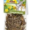 JR Farm Racine Pissenlit Rongeurs Lapins Nains 50 G 1 JR Farm Racine Pissenlit Rongeurs Lapins Nains 50 G -Animaux Séries Magasin jr farm racine de pissenlit 50 g