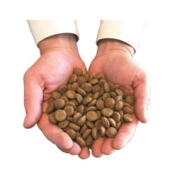 Felichef Croquettes BIO Sans Céréales, Sans Gluten Chaton 800 G -Animaux Séries Magasin main avec croquettes 3 9