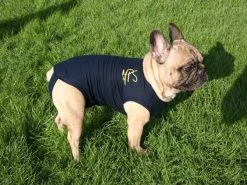 Medical Pet Shirt Chien XL -Animaux Séries Magasin medical pet shirt chien 1 1 1 2 1 1