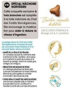 Royal Canin Chat Norvégien Adult 10 Kg -Animaux Séries Magasin norv ad information 1