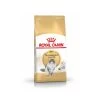 Royal Canin Chat Norvégien Adult 10 Kg -Animaux Séries Magasin norv ad pack 1