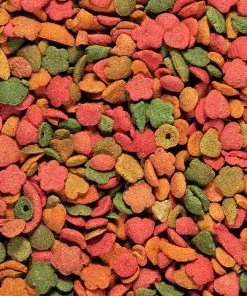 Nutribird P 15 Tropical Perroquet 1 Kg -Animaux Séries Magasin nutribird p 15 tropical perroquet2 1