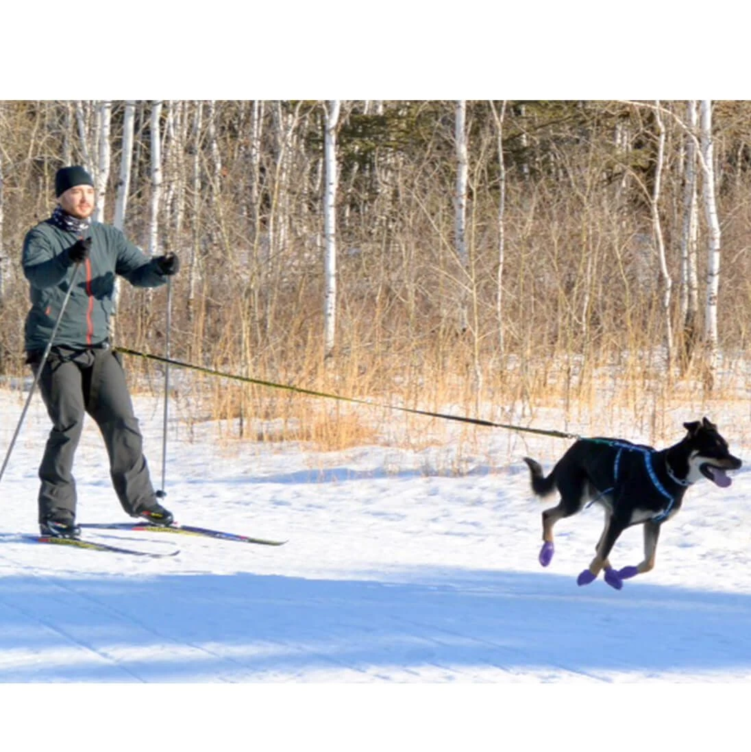 Pawz Bottes Noire L – Image 3