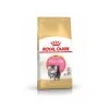 Royal Canin Persian Kitten 4 Kg 1 Royal Canin Persian Kitten 4 Kg -Animaux Séries Magasin pers kit pack 1
