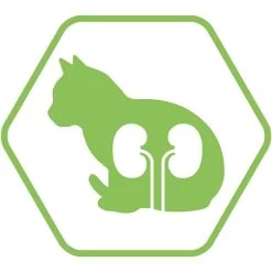 Purina Proplan Optirenal Chat Adult Sterilised Saumon 10 Kg 11 Purina Proplan Optirenal Chat Adult Sterilised Saumon 10 Kg -Animaux Séries Magasin purina proplan optirenal adult cat sterilised saumon 10 kg3