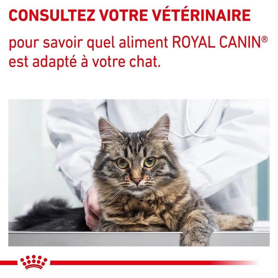 Royal Canin Vet Chat Adult 8 Kg 11 Royal Canin Vet Chat Adult 8 Kg – Image 9