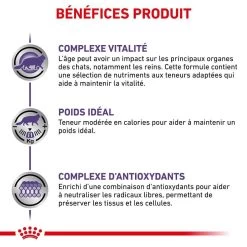 Royal Canin Veterinary Chat Mature Consult Balance 12 X 85 G 14 Royal Canin Veterinary Chat Mature Consult Balance 12 X 85 G -Animaux Séries Magasin royal canin veterinary chat mature consult balance 12 x 85 g 3